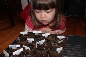 Chloe among the seedlings